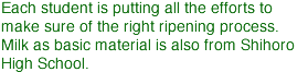 Each student is putting all the efforts to make sure of the right ripening process.Milk as basic material is also from Shihoro High School. 